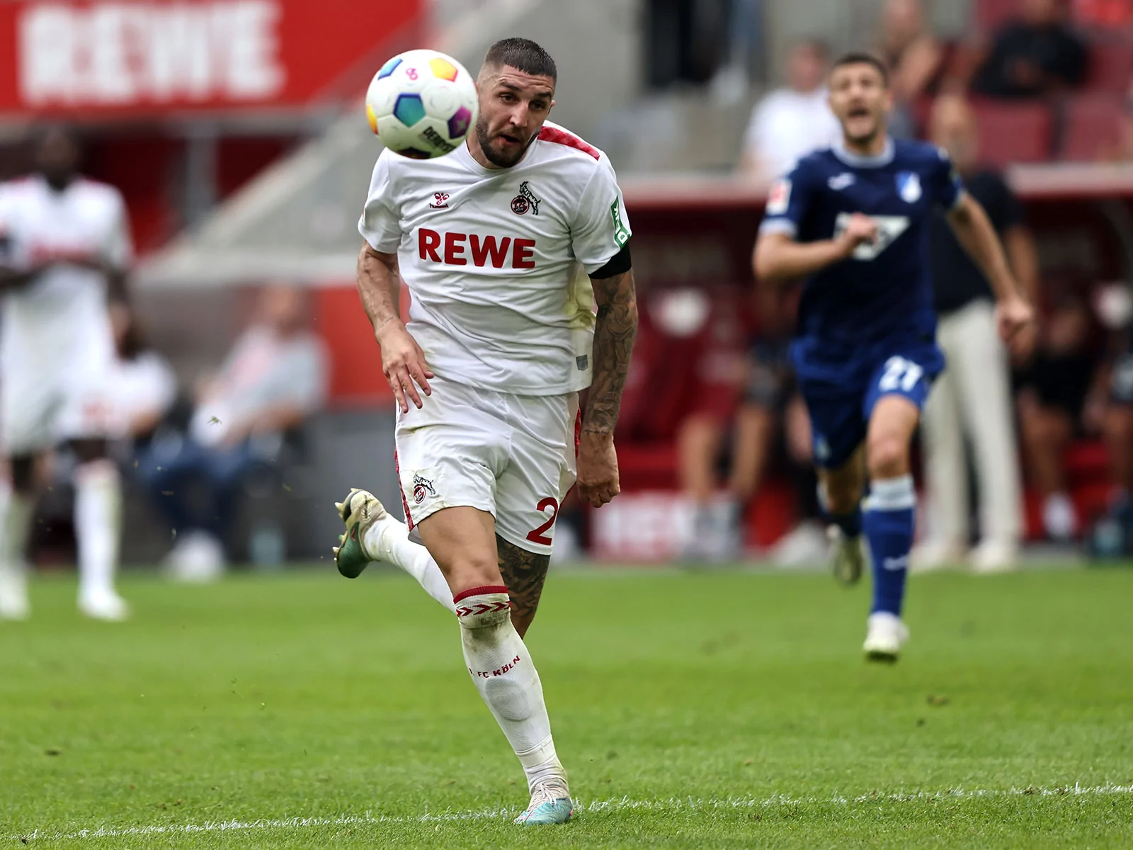 Köln gegen Hoffenheim