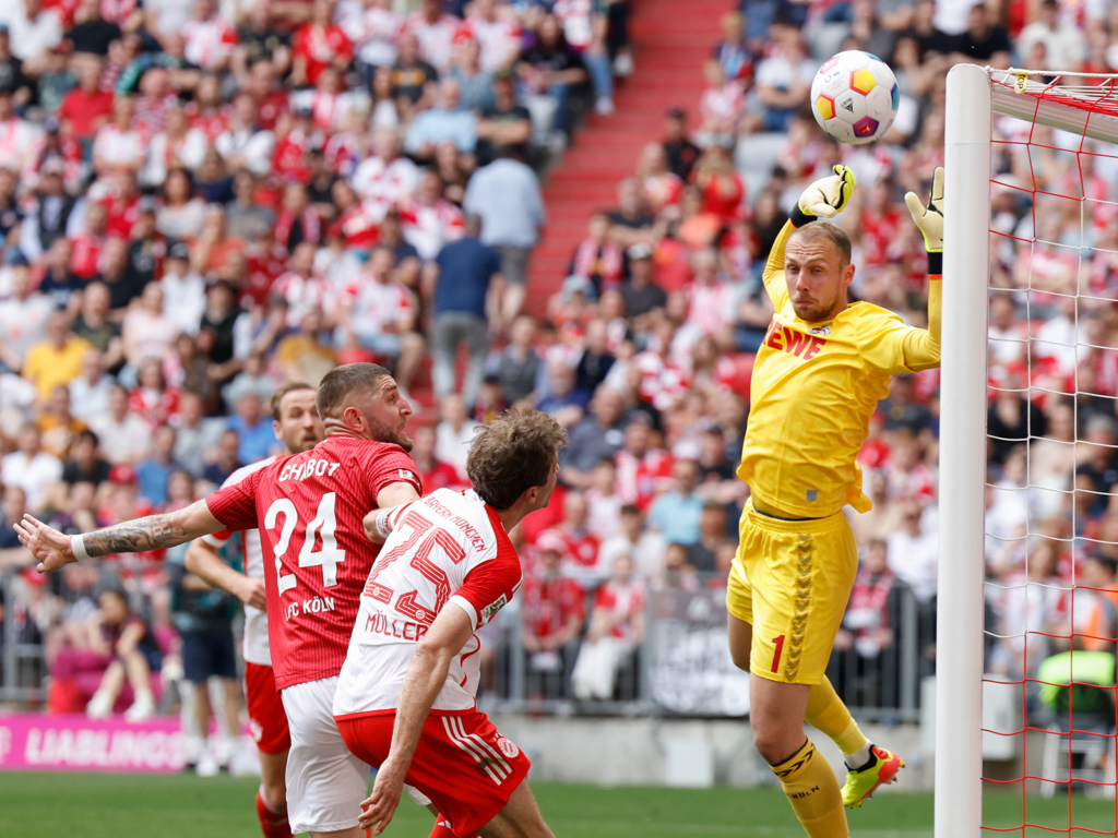 1. FC Köln: Marvin Schwäbe in der Elf des Spieltags