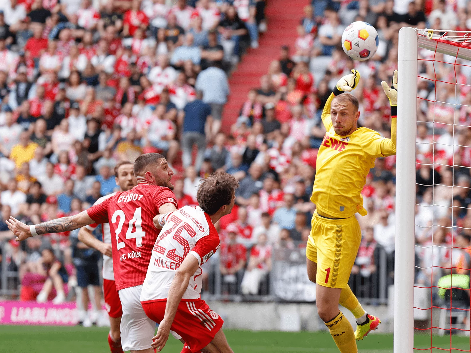 1. FC Köln: Marvin Schwäbe in der Elf des Spieltags