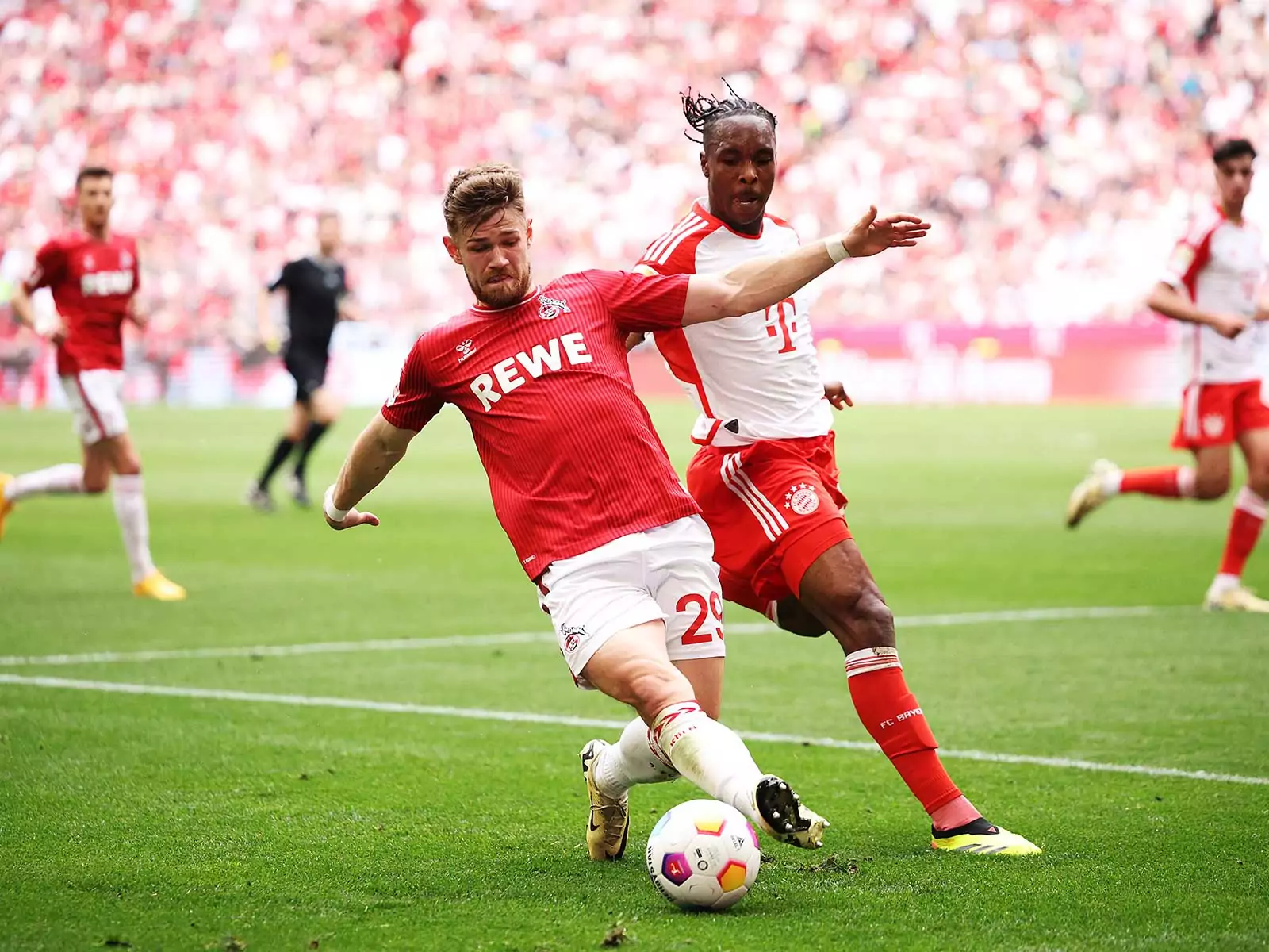 Jan Thielmann verteidigt den Ball gegen die Bayern erfolgreich. Der 21-Jährige ist absoluter Stammspieler und für Timo Schultz die Verkörperung des 1. FC Köln: Jan Thielmann auf dem Weg zur Identifikationsfigur. Jan Thielmann Effzeh, 1. FC Köln Stammspieler, Timo Schultz Verteidiger
