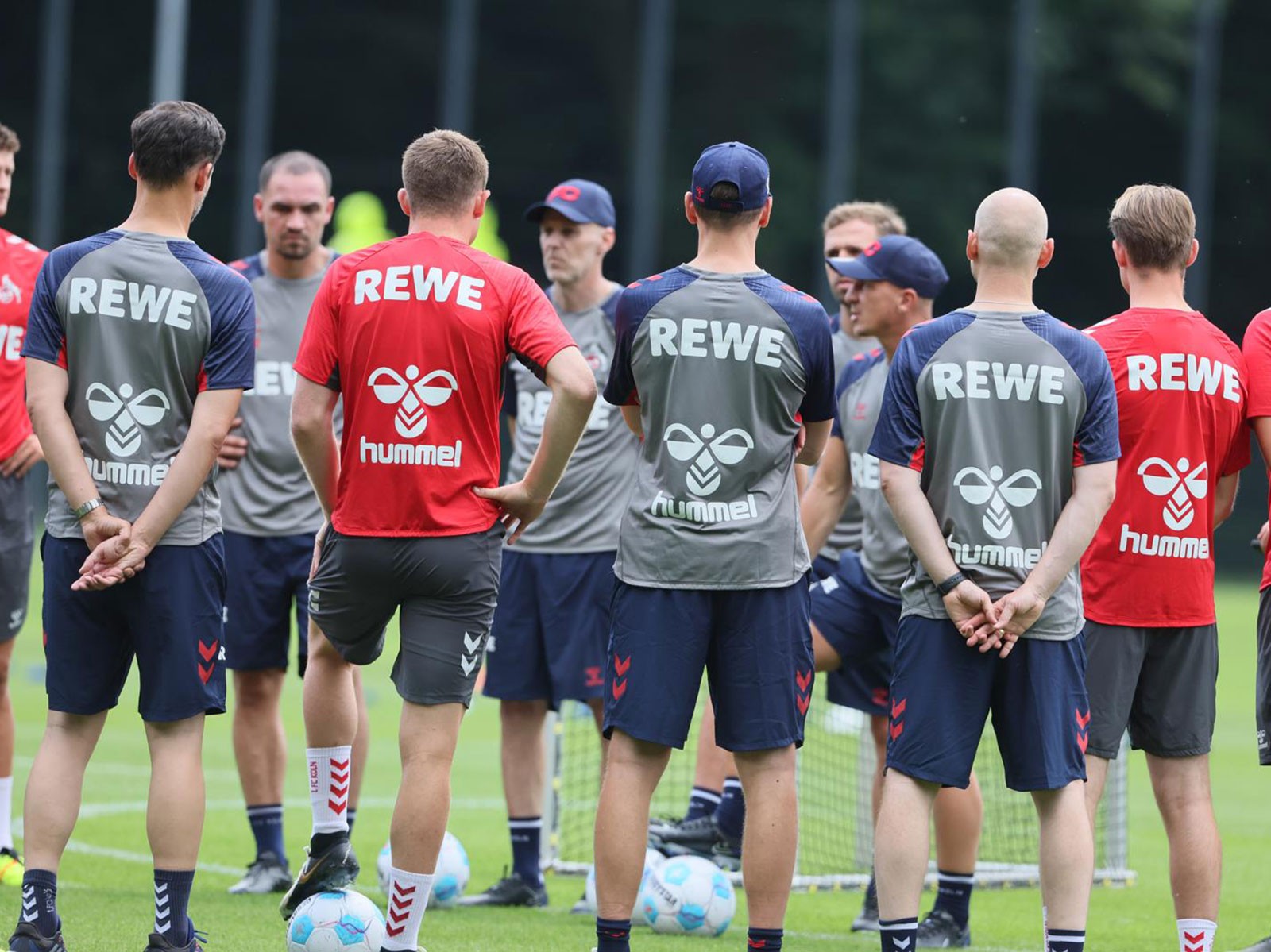 Training 1. FC Köln