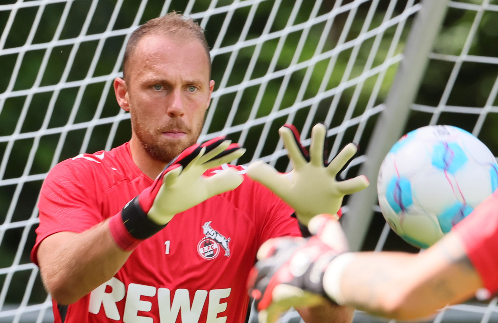 Marvin Schwäbe vom 1. FC Köln