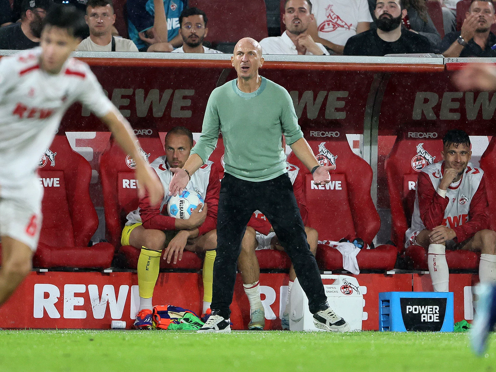 Gerhard Struber an der Seitenlinie des 1. FC Köln