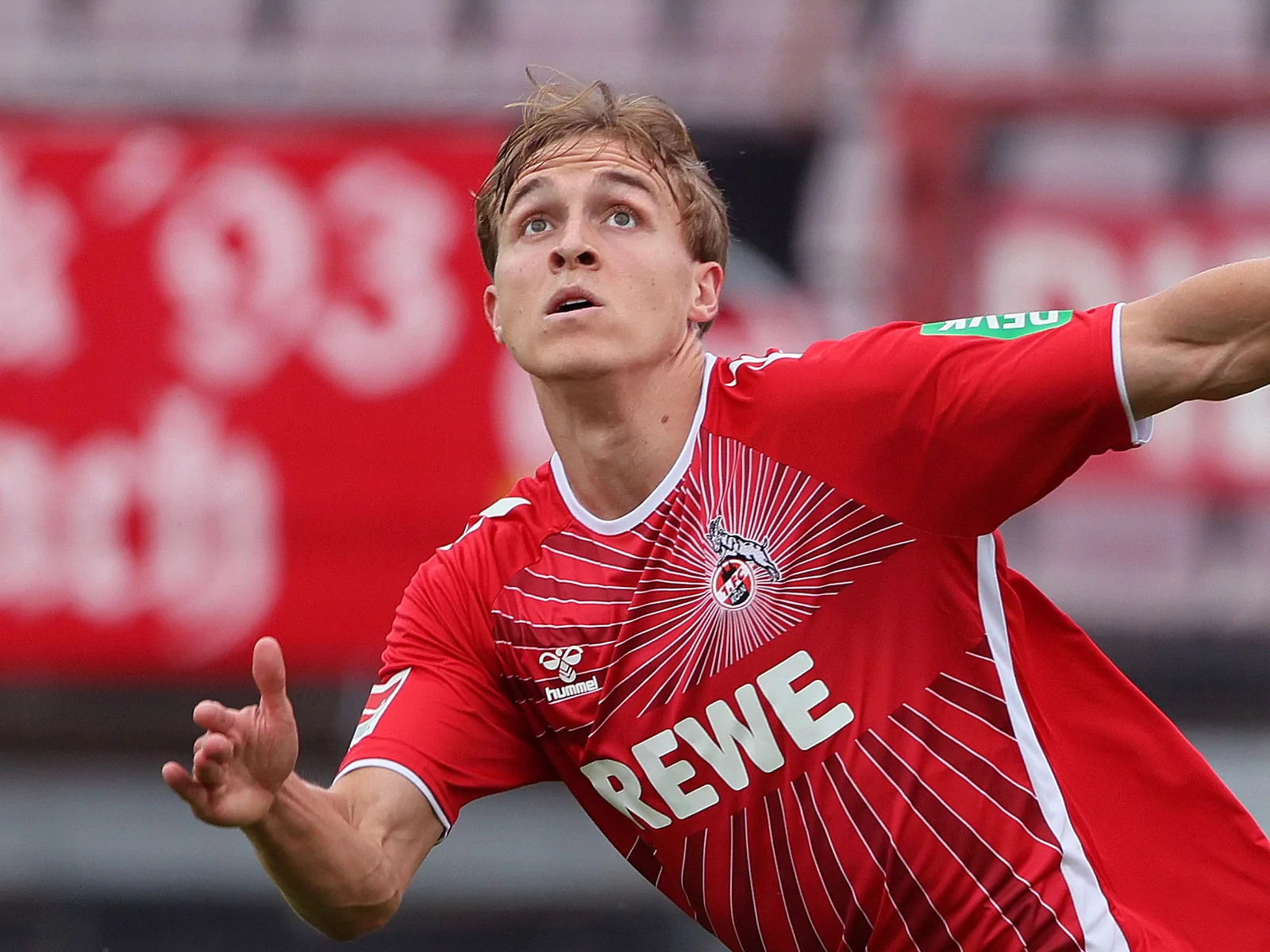 Timo Hübers vom 1. FC Köln