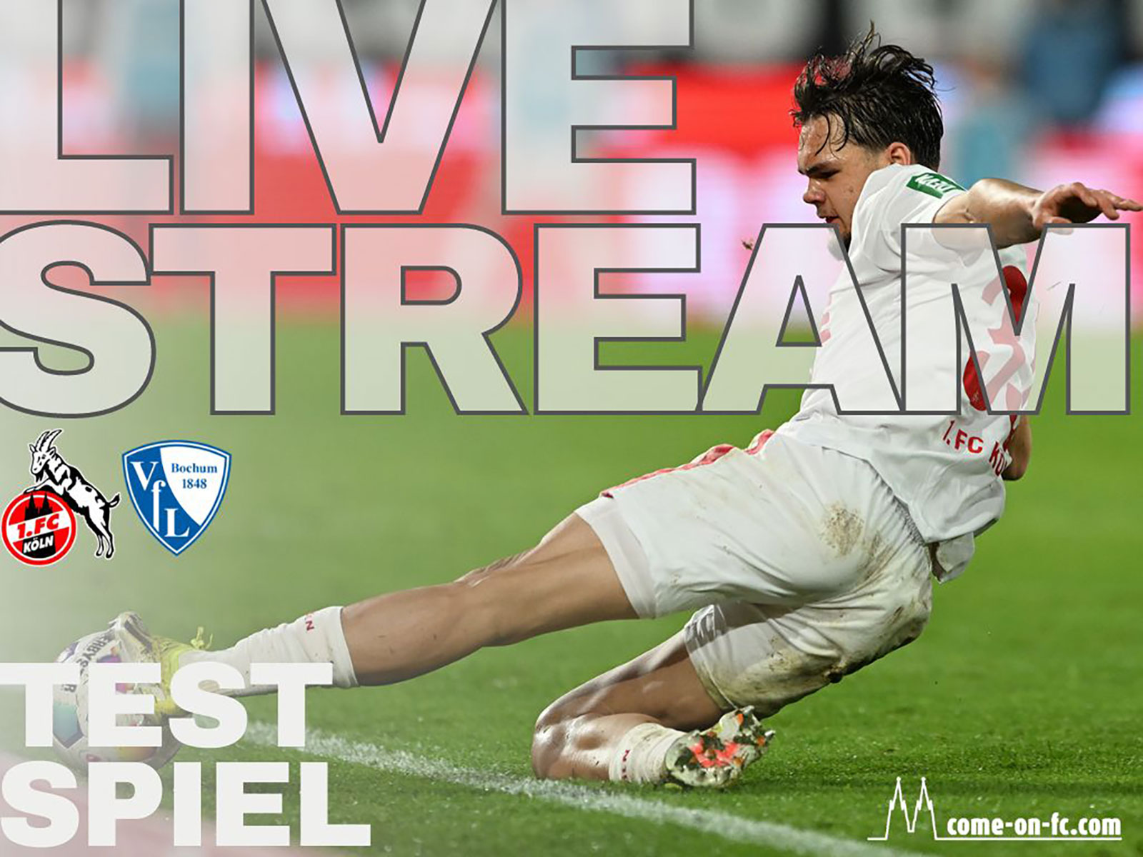 Live Stream 1. FC Köln gegen Bochum.