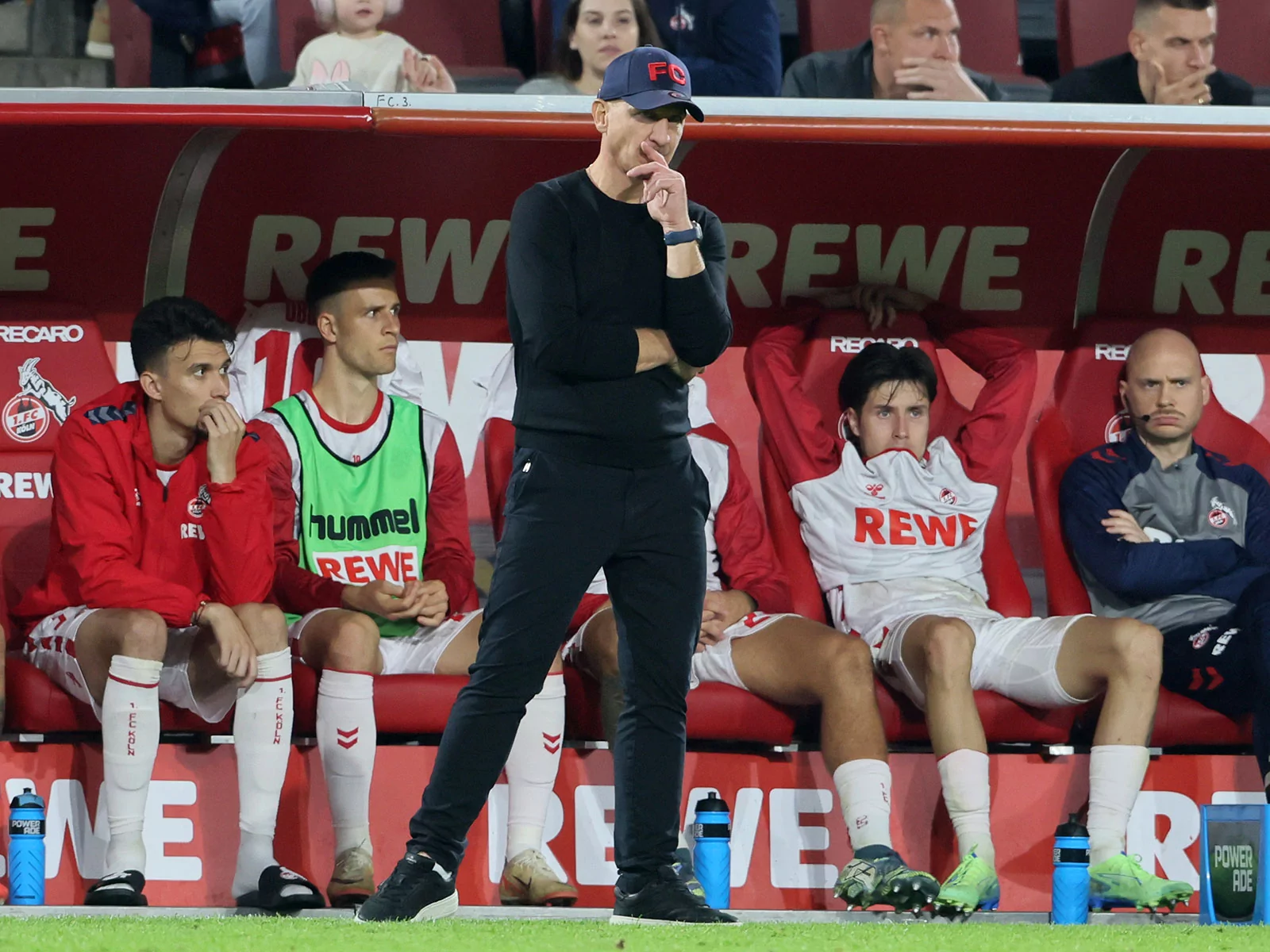 Gerhard Struber beim Spiel des 1. FC Köln