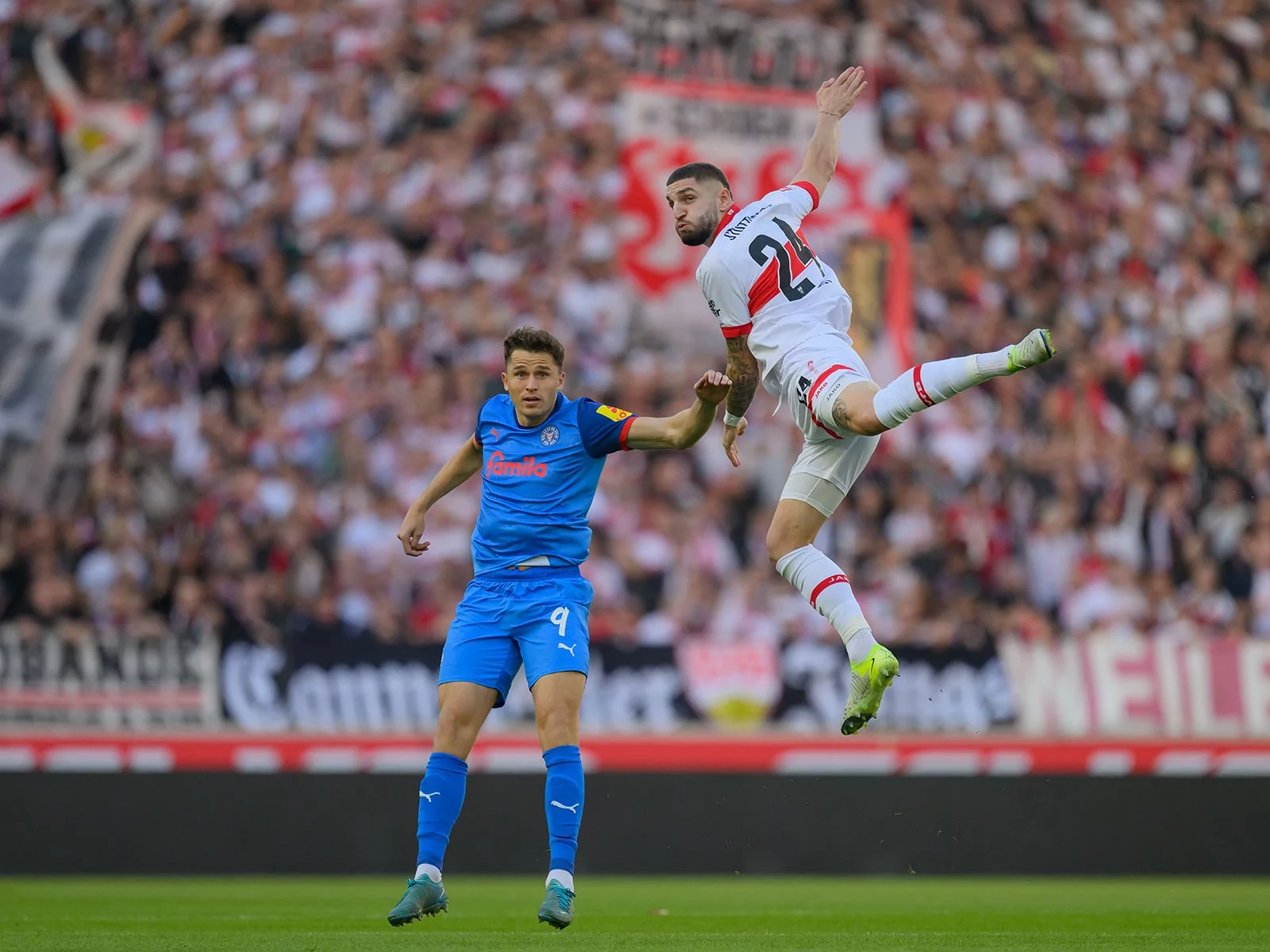 Benedikt Pichler ein Kandidat für den 1. FC Köln?