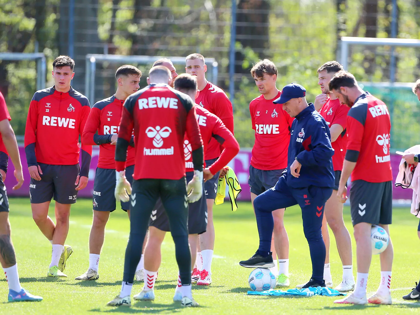 Training beim 1. FC Köln