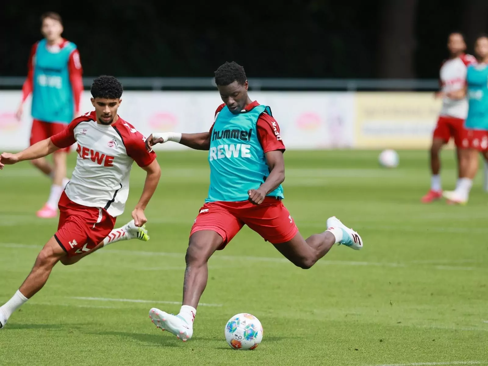 Ragnar im Training des 1. FC Köln
