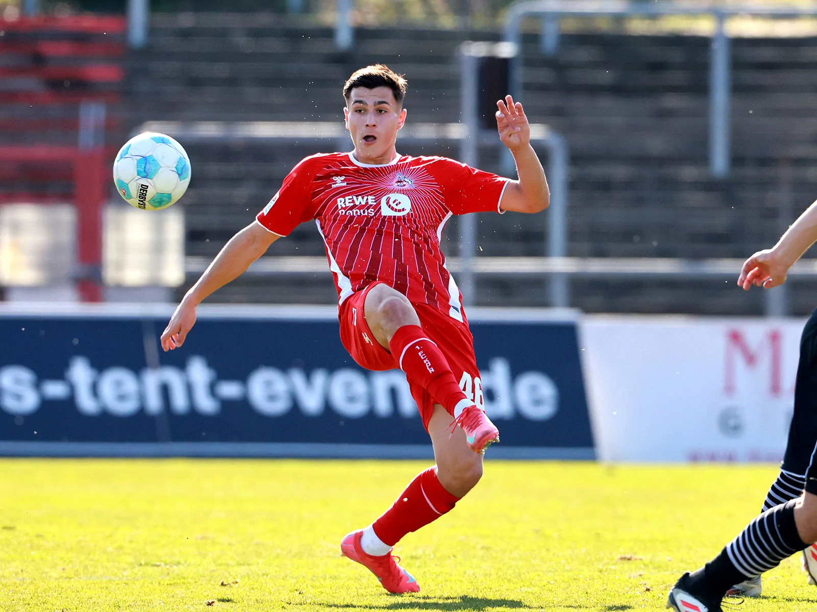 Emin Kujovic hat seinen Vertrag beim 1. FC Köln verlängert