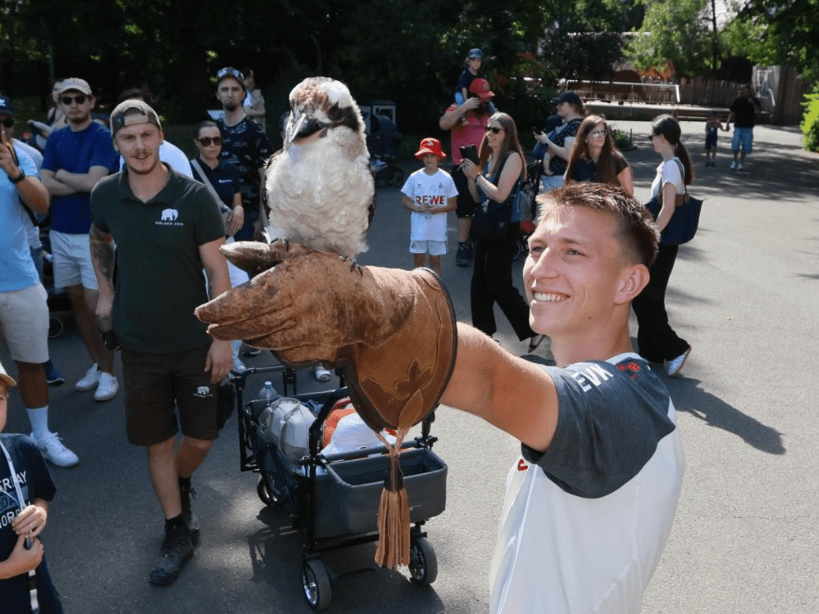 Seelöwen, Pinguine und Greifvögel: So lief der FC-Zootag 2025