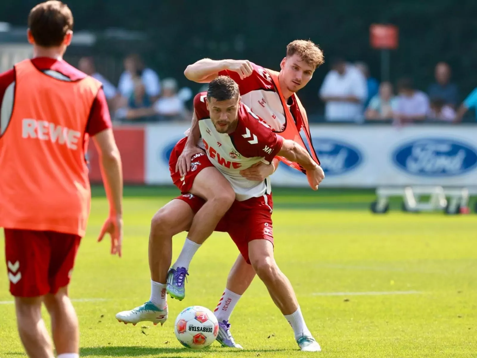 Rav van den Berg im Training des 1. FC Köln