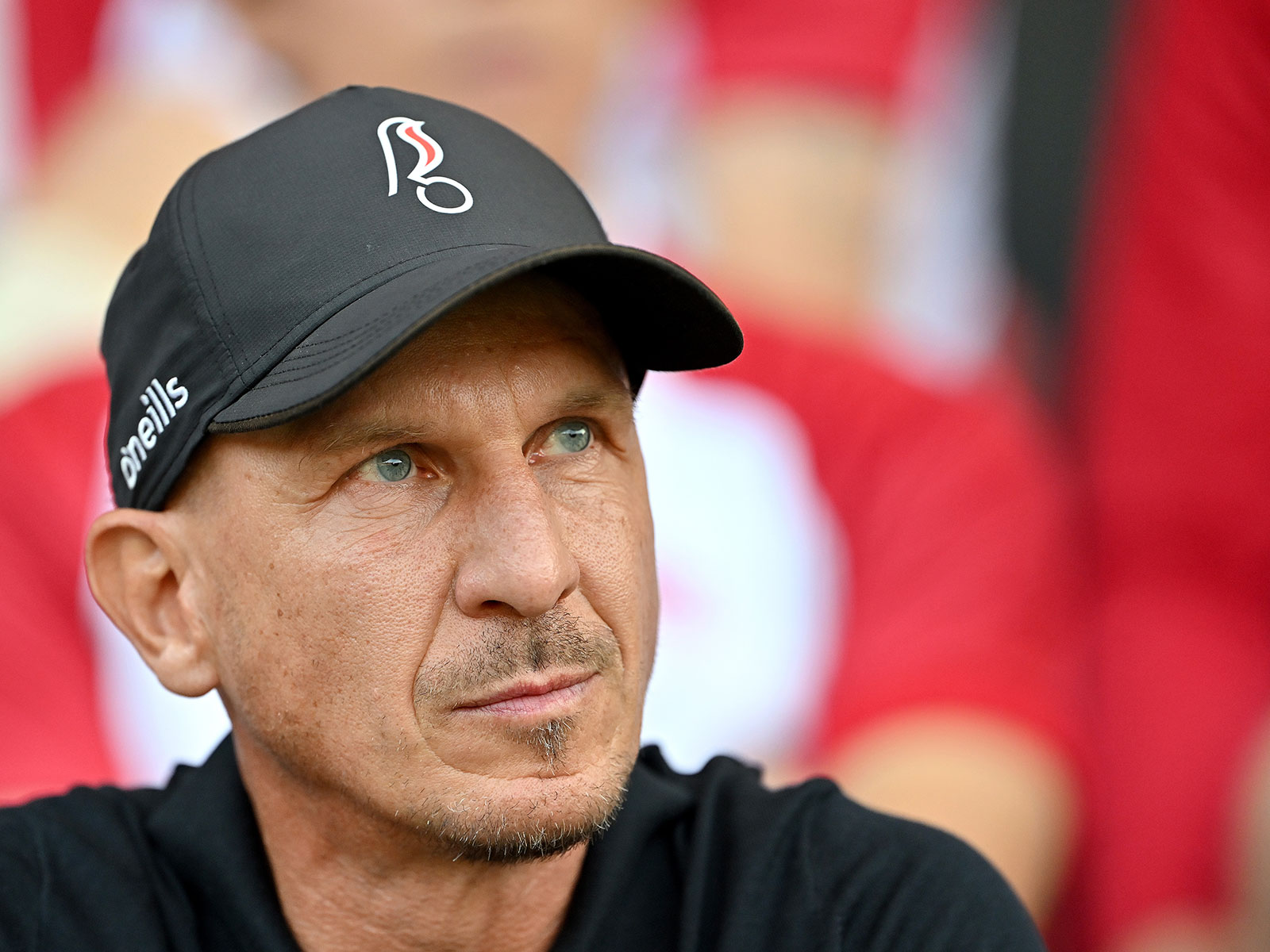 Gerhard Struber blickt mit gemischten Gefühlen auf die Zeit beim 1. FC Köln zurück