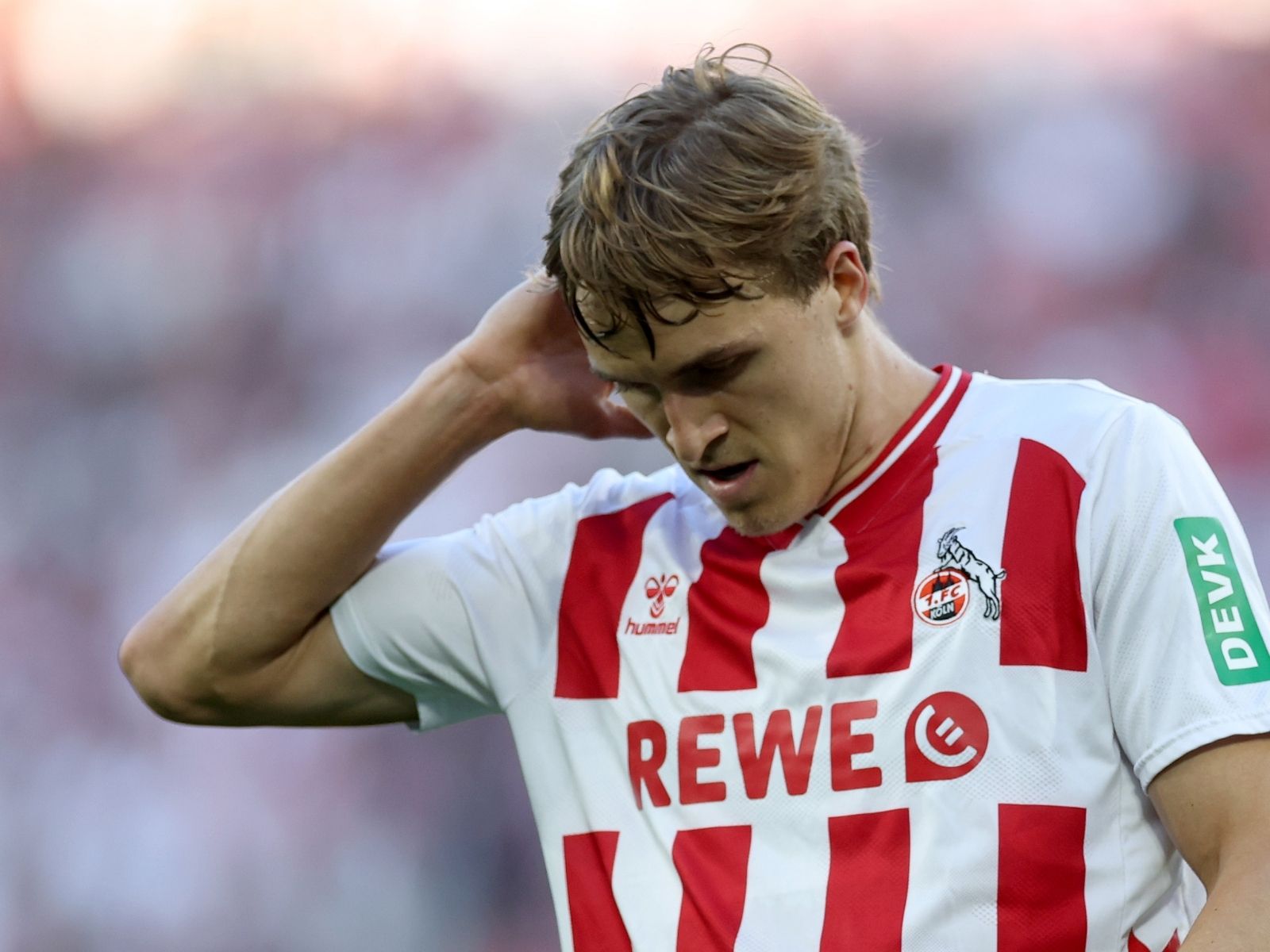 Timo Hübers vom 1. FC Köln