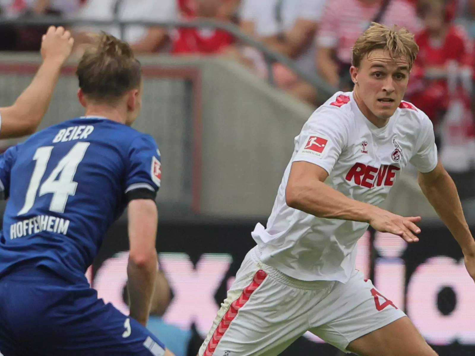 Timo Hübers vom 1. FC Köln im Duell gegen Hoffenheim.