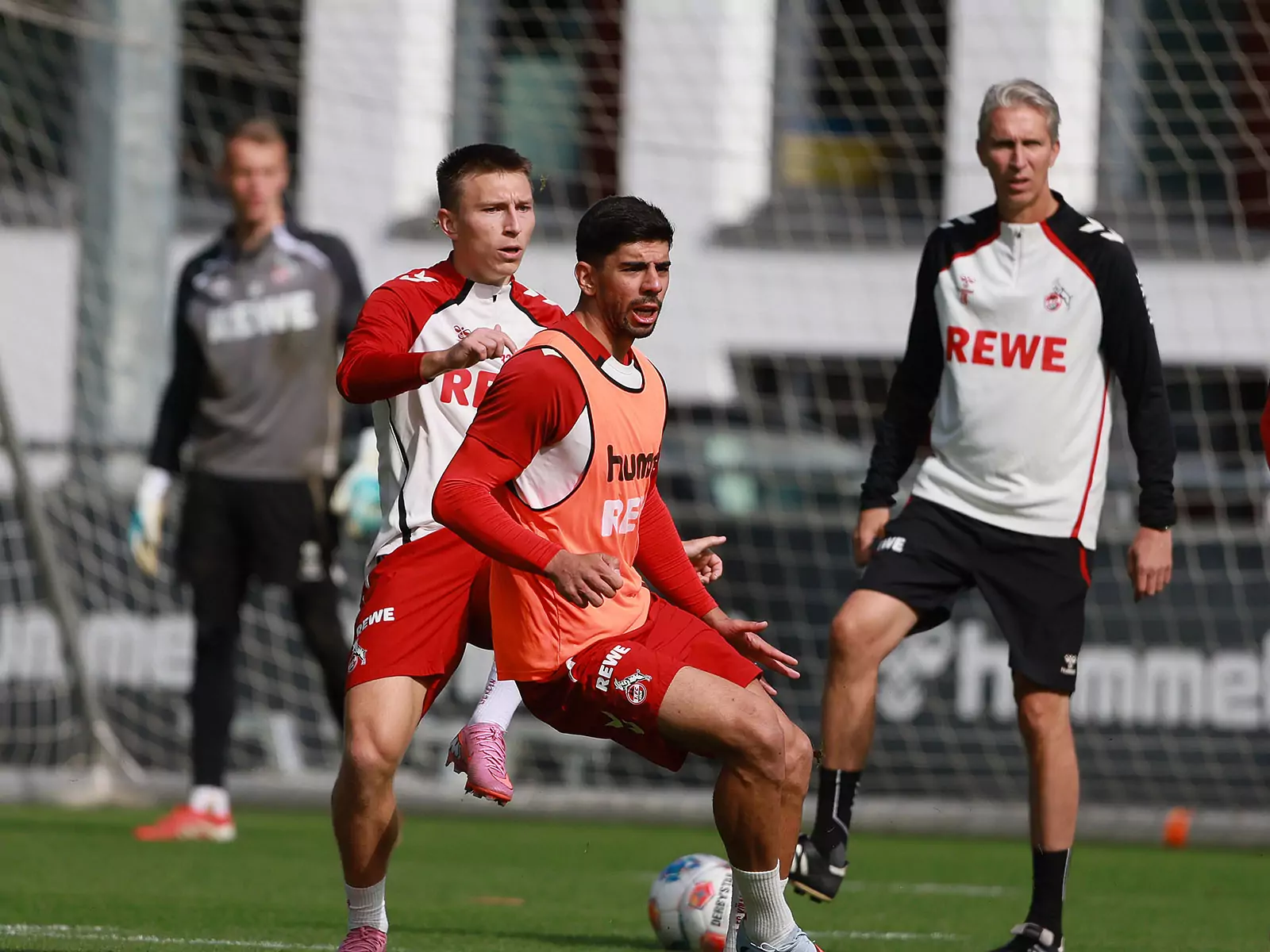 Cenk Özkacar und Kristoffer Lund beim Training des 1. FC Köln