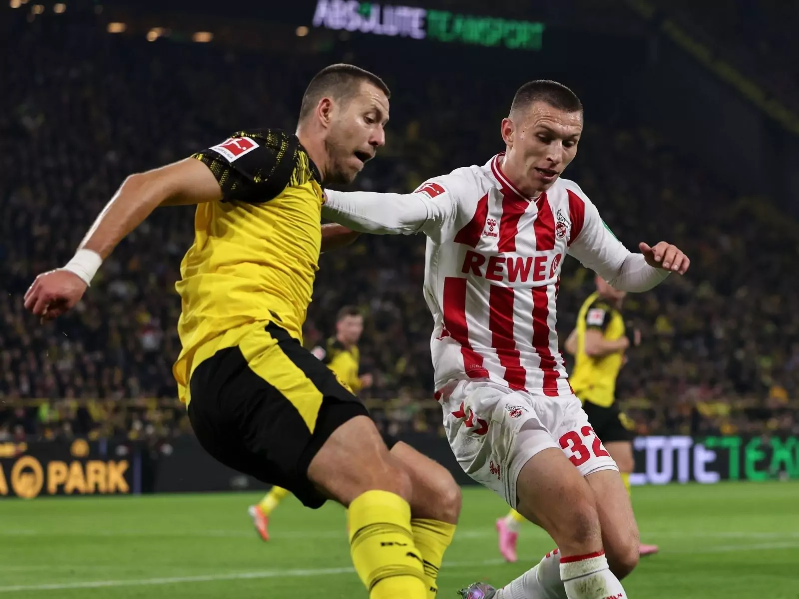 Kristoffer Lund vom 1. FC Köln im Duell mit dem BVB (Foto: Christof Koepsel / Getty Images)