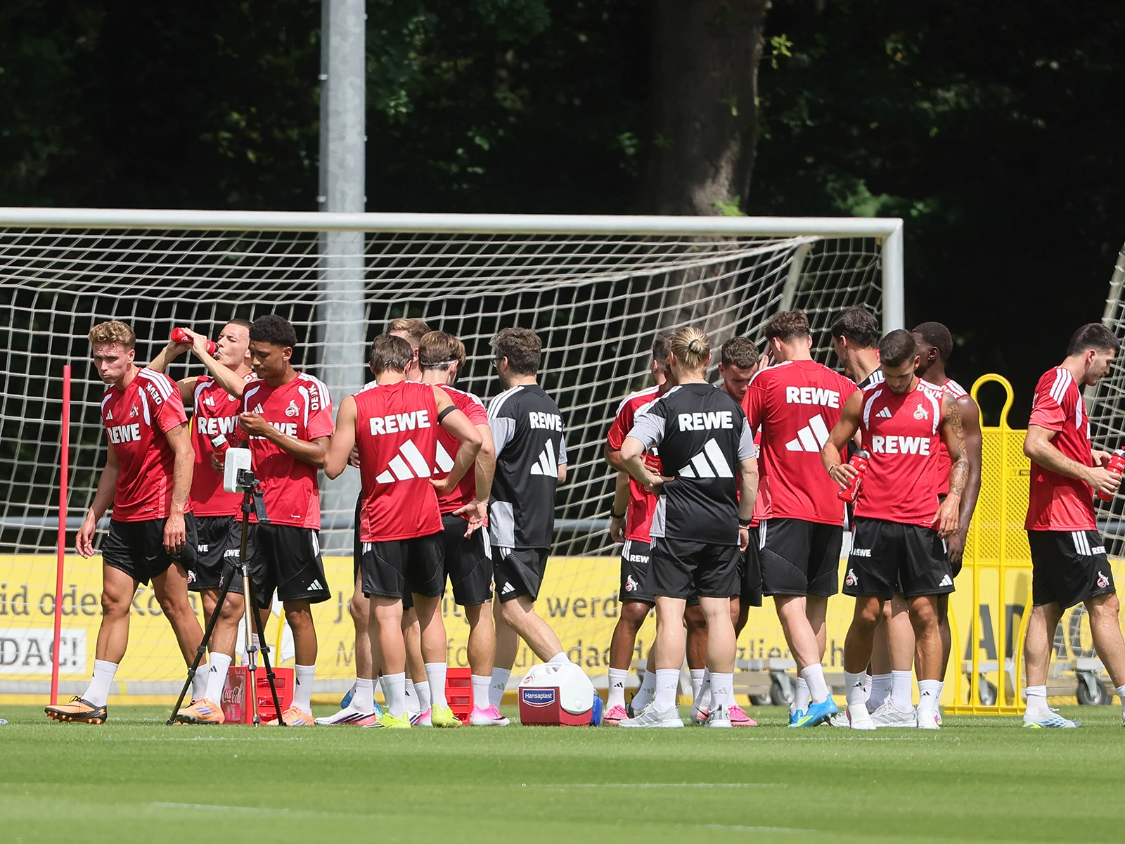 Training des 1. FC Köln am Geißbockheim