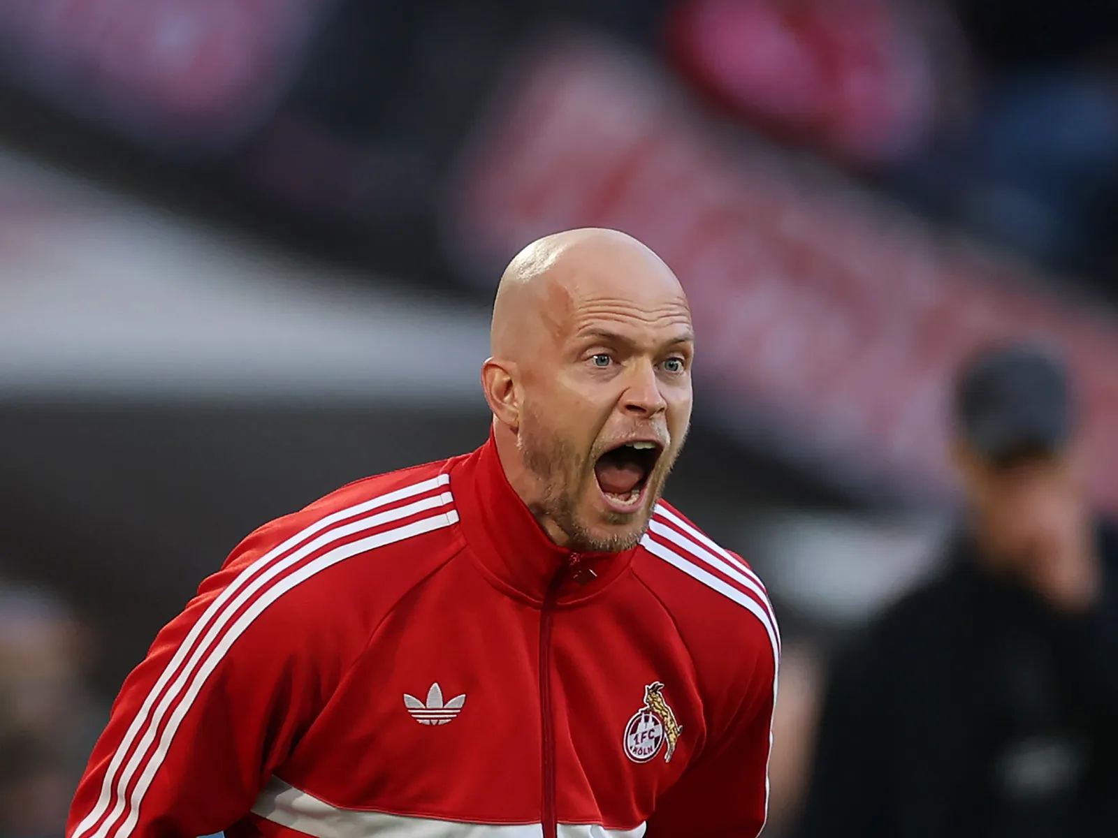 Kommentar: Zu große Erwartungshaltung? Der Fan des 1. FC Köln fordert (vorerst) nicht mehr als das Erwartbare… und das Angekündigte